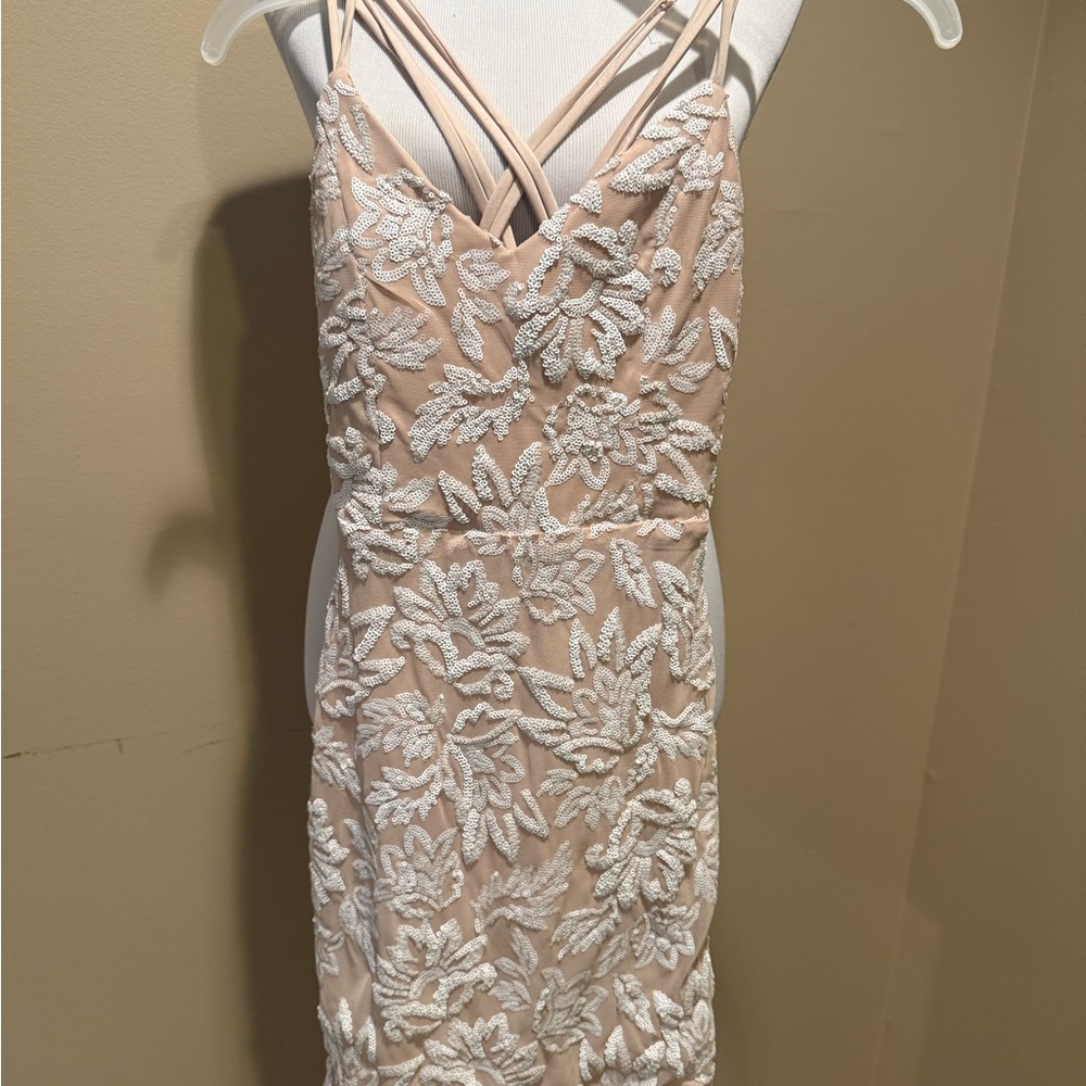 Windsor Elegant Beige Floral Lace Dress